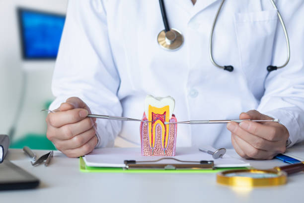 Best After-Hours Emergency Dentist in Dawsonville, GA
